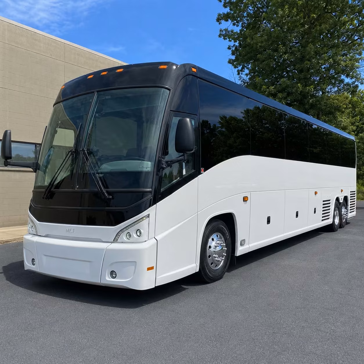 long distance charter bus rentals from billings to yellowstone and beyond