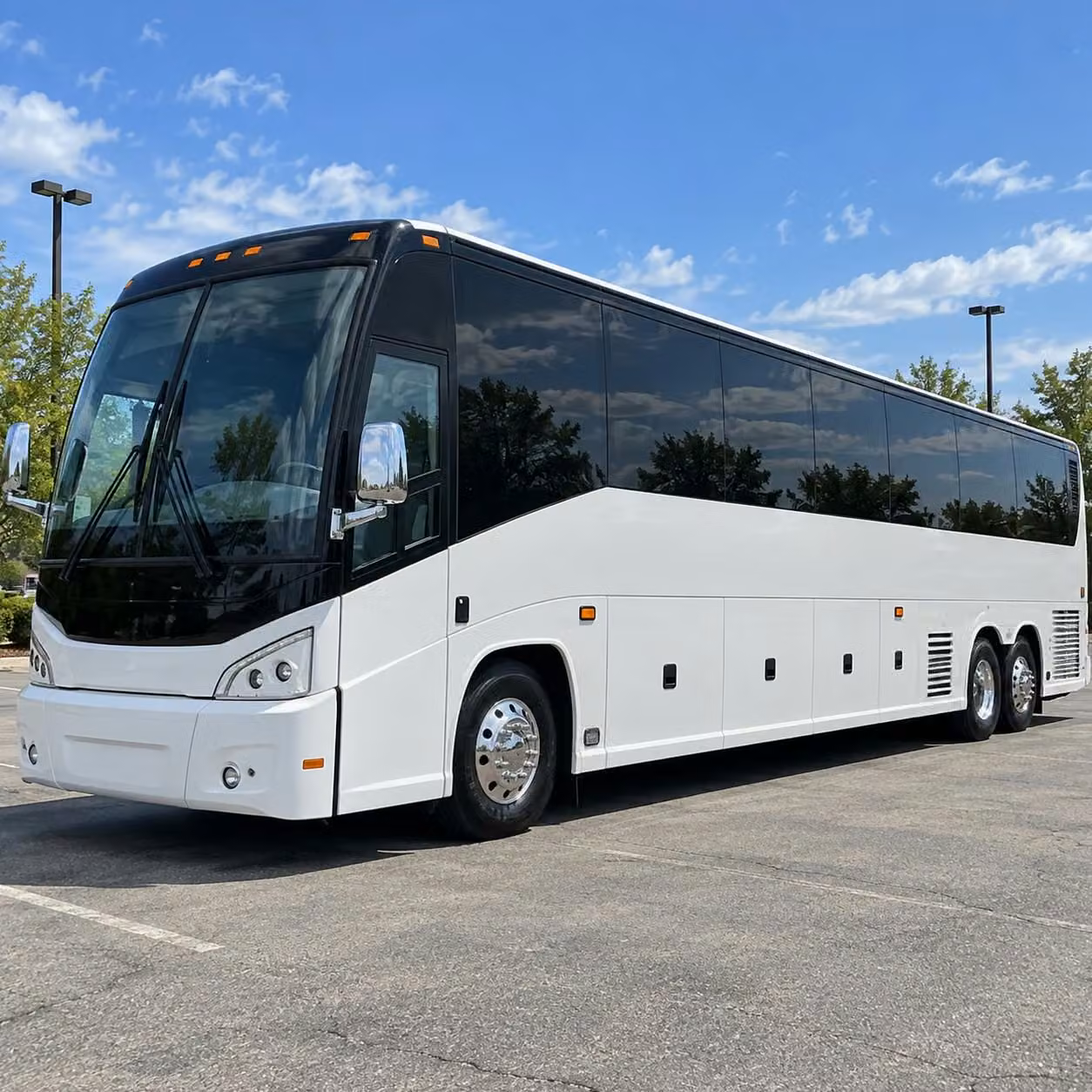prom transportation in billings and all the surrounding areas